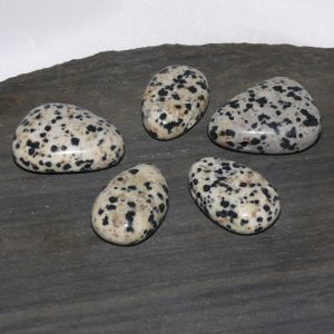 Dalmatiner Jaspis Trommelstein