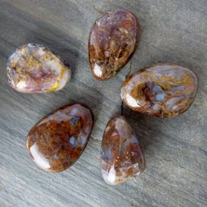 Pietersit Trommelstein