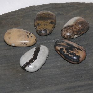 Porzellanit Trommelstein